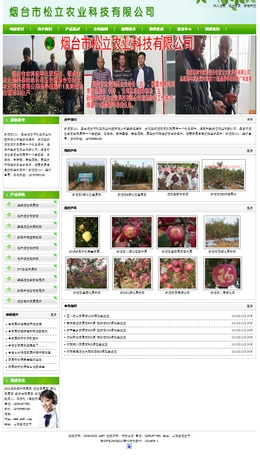 ����111�O����