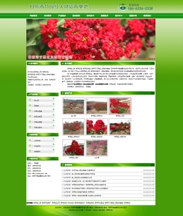 ��������@�t������������